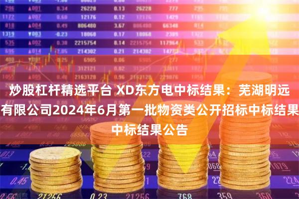 炒股杠杆精选平台 XD东方电中标结果:芜湖明远集团有限公司2024年6月第一批物资类公开招标中标结果公告