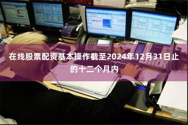 在线股票配资基本操作截至2024年12月31日止的十二个月内