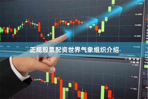 正规股票配资 世界气象组织介绍